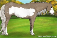 Horse Color:Silver Smoky Black Frame Rabicano