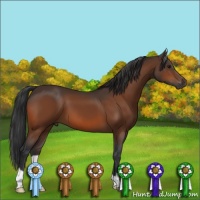 Horse Color:Brown 