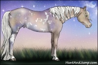 Horse Color:White Spotted Liver Chestnut Pearl Sabino