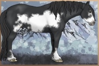 Horse Color:Black Sabino Frame