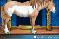 Horse Color:Bay Pearl Frame