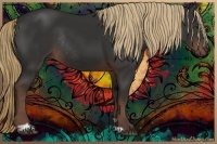 Horse Color:Liver Chestnut Sabino Rabicano