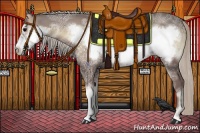 Horse Color:Silver Blue Onyx Ice Frame 