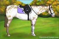 Horse Color:Sable Cream Champagne Frame Near Leopard 