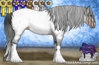 Horse Color:Brown Appaloosa