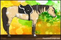 Horse Color:White Spotted Buckskin Dun 