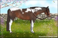 Horse Color:Liver Chestnut Sabino Tobiano 