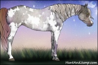 Horse Color:White Spotted Liver Chestnut Ice 