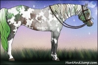 Horse Color:White Spotted Liver Chestnut Ice 