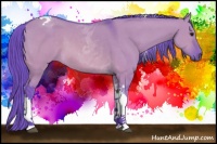 Horse Color:Watercolor Buckskin Dun Tobiano 