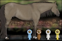 Horse Color:Smoky Grullo Rabicano 