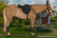Horse Color:Chestnut Rabicano 