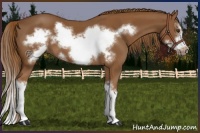 Horse Color:Chestnut Splash Frame 