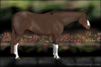 Horse Color:Gray Chestnut 