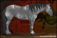 Horse Color:Black Ice 