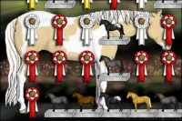 Horse Color:Silver Classic Champagne Dun Splash Tobiano Appaloosa Rabicano 