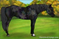Horse Color:Midnight Black Ice 
