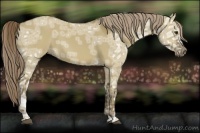 Horse Color:Chocolate Palomino Ice Dun