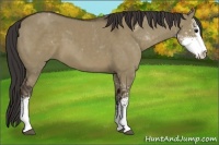 Horse Color:Smoky Grullo Sabino 