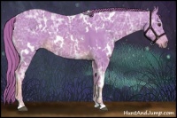 Horse Color:Watercolor White Spotted Chestnut Ice 