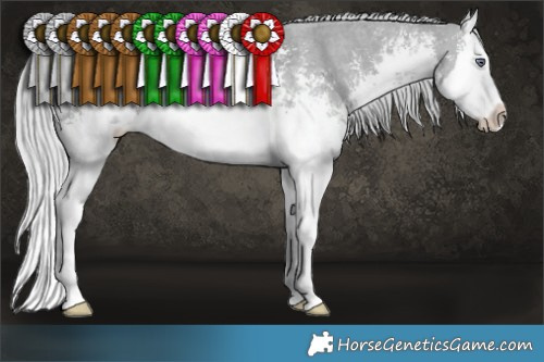 Horse Color:White Spotted Silver Grullo Chinchilla Sabino Splash Rabicano 