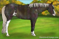 Horse Color:Midnight Silver Buckskin Ice Sabino 