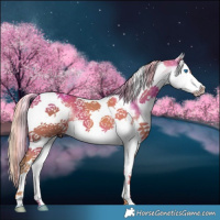 Horse Color:White Spotted Chestnut Splash Tobiano