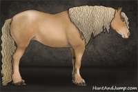 Horse Color:Liver Chestnut Pearl