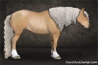 Horse Color:Silver Black Pearl Rabicano 