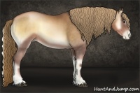 Horse Color:Liver Red Onyx Pearl Sabino 