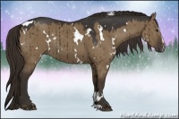 Horse Color:White Spotted Liver Red Dun Sabino Rabicano