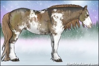 Horse Color:Liver Red Dun Sabino Rabicano