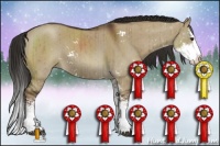 Horse Color:Liver Red Dun Sabino Splash Brindle 