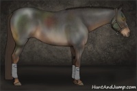 Horse Color:Liver Red Roan Sabino 