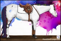 Horse Color:Painted Bay Near Fewspot 