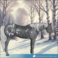 Horse Color:White Spotted Silver Black Chinchilla Splash 