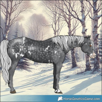 Horse Color:White Spotted Silver Black Chinchilla Splash 