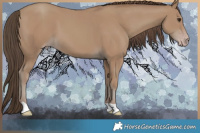 Horse Color:Classic Champagne 