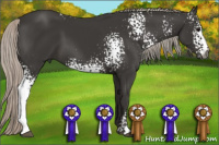 Horse Color:Gray White Spotted Silver Black 