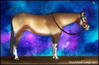 Horse Color:Bay Onyx 