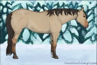 Horse Color:Bay Roan Dun 