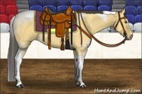 Horse Color:Buckskin Roan Dun Tobiano 