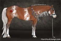 Horse Color:White Spotted Silver Bay Splash 