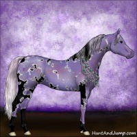 Horse Color:Watercolor White Spotted Silver Black 