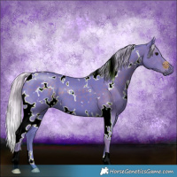 Horse Color:Watercolor White Spotted Silver Black 