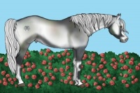 Horse Color:Silver Blue Onyx Chinchilla 