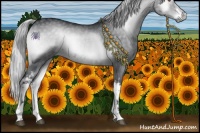 Horse Color:White Spotted Silver Blue Onyx Chinchilla 