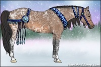 Horse Color:Bay Ice Roan
