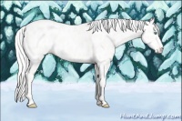 Horse Color:Silver Perlino Appaloosa 