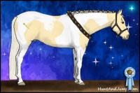 Horse Color:Palomino Tobiano 